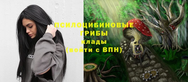 твердый Балахна