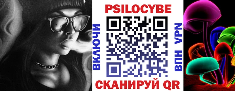 Псилоцибиновые грибы Psilocybe  Лабинск 
